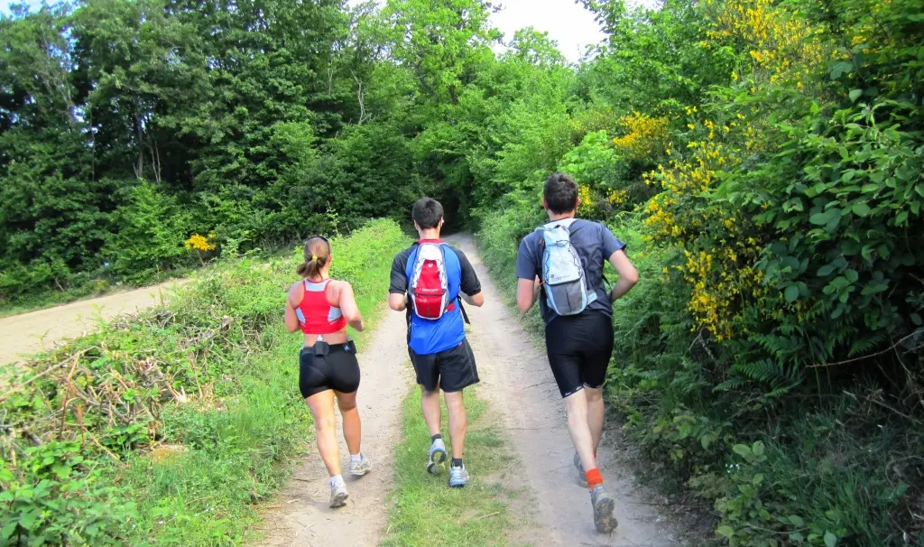 eco-games bourgogne